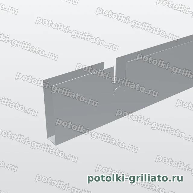 Профиль Грильято несущий 100х100 (высота 40 мм, ширина 10 мм), Эконом, металлик, 2400 мм — 3D-иллюстрация — торец профиля крупным планом